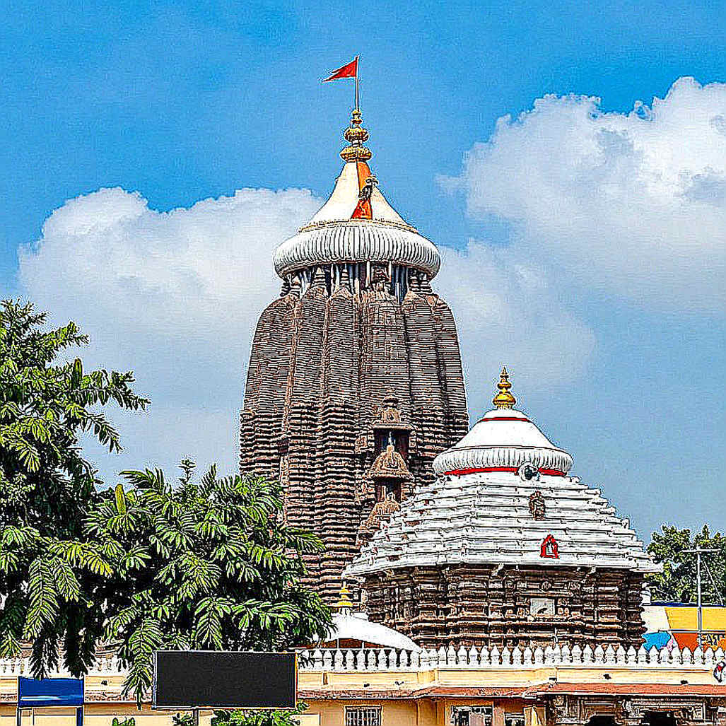 কলেজ ভলিবলে শীর্ষ-৫ লড়াইয়ের ইতিহাস লিখল কেন্টাকি ওয়াইল্ডক্যাটস